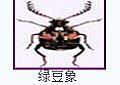 河源殺蟲(chóng)公司提供最全...