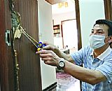河源白蟻防治